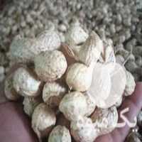 فروش بادام زمینی بذری گلی نمونه افتاب خشک‌شده در اردبیل در گروه بادام - درختی کوهی زمینی فروش عمده در یکمیوه