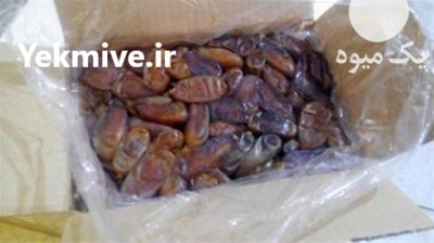 فروش خرما شاهانی ،خرمای زاهدی،لیموخشک،سیفی جات در جهرم در گروه خرید فروش عمده خرما - کبکاب تازه زاهدی خشک خارک در یکمیوه