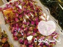 فروش دستگاه خشک کن غنچه گل بدون تغییر رنگ بدون مواد شیمیایی در اصفهان در گروه خرید فروش ابزار ها و تجهیزات کشاورزی - دستی برقی ماشینی بیل کلنگ در یکمیوه -عکس1