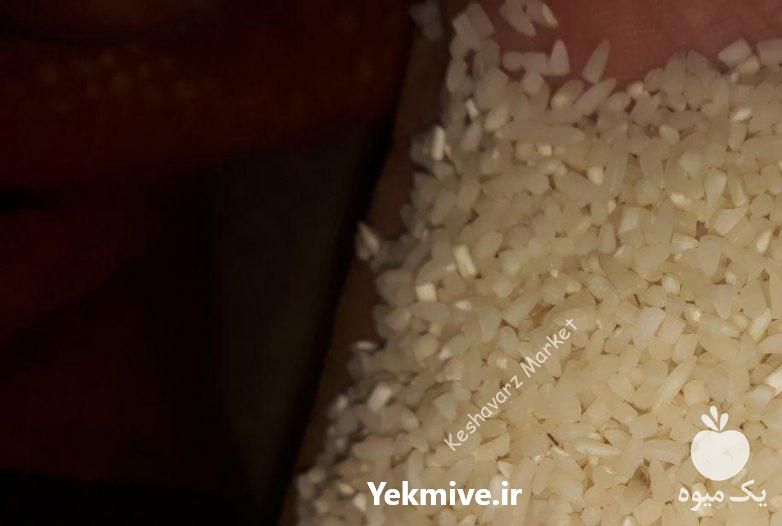 فروش برنج نیمدانه هاشمی در رشت در گروه خرید فروش عمده برنج - نیم دانه عنبر بو هاشمی کاظمی هندی پاکستانی در یکمیوه -عکس1