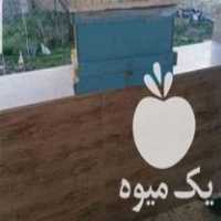 فروش کندو خالی کف باز چوب یتیکه روسی در قزوین در گروه خرید فروش عمده چوب- زغال چوب گردو تبریزی خام در یکمیوه