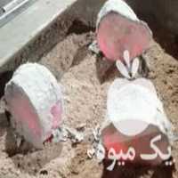 فروش زغال لیمو جهرم بامبو به شرط مرجوعی حتی به صورت امانی در تهران در گروه خرید فروش عمده چوب- زغال چوب گردو تبریزی خام در یکمیوه