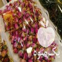 فروش دستگاه خشک کن غنچه گل بدون تغییر رنگ بدون مواد شیمیایی در اصفهان در گروه خرید فروش ابزار ها و تجهیزات کشاورزی - دستی برقی ماشینی بیل کلنگ در یکمیوه