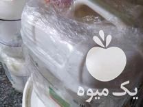 فروش روغن آرگان  ،  درخت چای  ،  جوجوبا  ،  آووکادو  ،  ماکادمیا  ،  شیباتر در تهران در گروه خرید فروش عمده میوه استوایی - پاپایا قرمز منگوستین گواوا بلوبری در یکمیوه -عکس1