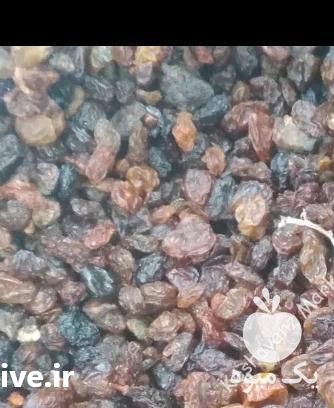 فروش کشمش سایه خشک در تهران در گروه آجیل - فروش عمده محصولات در یکمیوه -عکس1