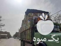 خرید و فروش کارتن موزی کارتن موز کلی و جزئی در مشهد در گروه خرید فروش انواع بسته بندی کاغذی - کارتن مقوا در یکمیوه -عکس1