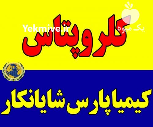 فروش ویژه کلروپتاس در تهران در گروه خرید و فروش عمده انواع محصولات کشاورزی و دامداری در یکمیوه -عکس1