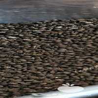 فروش چای ماسالا ، ترک و دیگر مشتقات باعطرو طعم قوی در تهران در گروه خرید فروش عمده چای - سبز ترش کوهی سیاه در یکمیوه