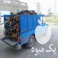 خریدار چوب هیزمی درباغات میوه در اصفهان در گروه خرید فروش عمده چوب- زغال چوب گردو تبریزی خام در یکمیوه