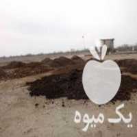 فروش کود حیوانی گوسفندی در گمیش تپه در گروه خرید فروش کود و مواد شیمیایی - اوره پتاس مرغی کمپوست آهن در یکمیوه