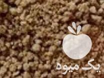 فروش سویا  ، جو دامی در خوسف در گروه خرید فروش عمده سویا - خوراکی تیم اسپانیول روغن در یکمیوه -عکس1