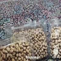 فروش پسته به در قم در گروه پسته - کوهی شامی خام اکبری تازه کله قوچی در یکمیوه