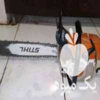 خرید انواع چوب و درخت گردو صنوبر راجی بید شال درخت میوه چوب در همدان در گروه خرید فروش عمده چوب- زغال چوب گردو تبریزی خام در یکمیوه