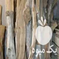 فروش چوب گردو خشک در شیراز در گروه خرید فروش عمده چوب- زغال چوب گردو تبریزی خام در یکمیوه