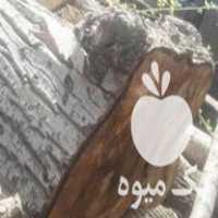فروش چوب گردو مغز سیاه در مشهد در گروه خرید فروش عمده چوب- زغال چوب گردو تبریزی خام در یکمیوه