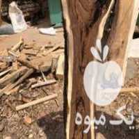 فروش تخته چوب گردو جنگلی در تهران در گروه خرید فروش عمده چوب- زغال چوب گردو تبریزی خام در یکمیوه
