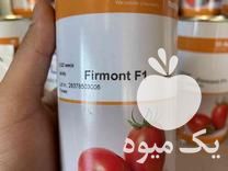 فروش بذر گوجه فرمونت در علی آباد در گروه خرید فروش بذر - انواع محصول کشاورزی گوجه کتان میوه درخت در یکمیوه -عکس1