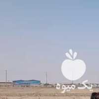 فروش اسب مادیان کرد خالص در اصفهان در گروه اسب و الاغ خر و فروش قاطر- ترکمن عربی سفید نر و ماده در یکمیوه