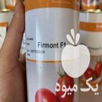 فروش بذر گوجه فرمونت در علی آباد در گروه خرید فروش بذر - انواع محصول کشاورزی گوجه کتان میوه درخت در یکمیوه