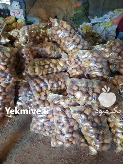 سیب زمینی در بهار  در گروه خرید فروش عمده سیب زمینی - زودرس دیررس آگریا اسپریت اردبیل همدان در یکمیوه -عکس2