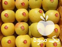 فروش 100 تن سیب سفید در ارومیه در گروه خرید فروش عمده سیب - زرد و قرمز گلاب پاییزه در یکمیوه -عکس1