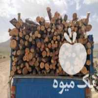 فروش چوب سیب برای زغال در اصفهان در گروه خرید فروش عمده چوب- زغال چوب گردو تبریزی خام در یکمیوه