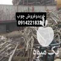 خرید و فروش انواع چوب در اردبیل در گروه خرید فروش عمده چوب- زغال چوب گردو تبریزی خام در یکمیوه
