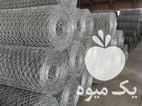 فروش فنس توری حصاری سیم خاردار پایه فنس سیم داربست انگور گابیون در تهران در گروه خرید فروش عمده انگور - یاقوتی شانی عسگری بی دانه قرمز در یکمیوه -عکس1