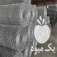 فروش فنس توری حصاری سیم خاردار پایه فنس سیم داربست انگور گابیون در تهران در گروه خرید فروش عمده انگور - یاقوتی شانی عسگری بی دانه قرمز در یکمیوه