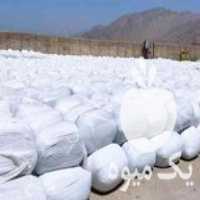 فروش ذرت علوفه ای در سیدان در گروه خوراک دام و طیور - پرواری شیری علوفه یونجه در یکمیوه