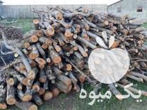 خریدار انواع چوب خشک و ضایعات و انواع درخت میوه ای در بوکان در گروه خرید فروش عمده چوب- زغال چوب گردو تبریزی خام در یکمیوه -عکس1