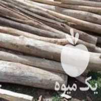 خرید انواع چوب خشک و ضایعات و انواع درخت میوه ای و چنار در بوکان در گروه خرید فروش عمده چوب- زغال چوب گردو تبریزی خام در یکمیوه