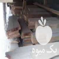 فروش اسلب چوب گردو چهارتراش چنار کالباسی در کرج در گروه خرید فروش عمده چوب- زغال چوب گردو تبریزی خام در یکمیوه