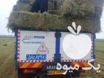 فروش پاشا یونجه ک 4900 در سمنان در گروه خوراک دام و طیور - پرواری شیری علوفه یونجه در یکمیوه -عکس1