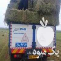 فروش پاشا یونجه ک 4900 در سمنان در گروه خوراک دام و طیور - پرواری شیری علوفه یونجه در یکمیوه