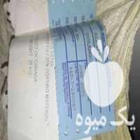 فروش بذر یونجه خارجی در همدان در گروه خرید فروش بذر - انواع محصول کشاورزی گوجه کتان میوه درخت در یکمیوه