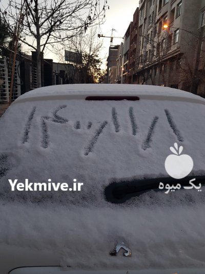 فروش نخود فرنگی درجه یک وتضمینی در کلاله در گروه خرید فروش عمده نخود - فرنگی خام سبز فروش عمده در یکمیوه