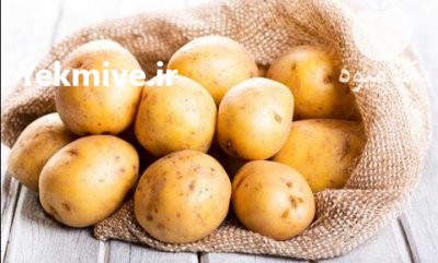 سیب زمینی بذری در آباده در گروه خرید فروش عمده سیب زمینی - زودرس دیررس آگریا اسپریت اردبیل همدان در یکمیوه