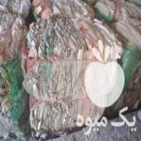 فروش مرکز بسته بندی گونی ضایعاتی سیمانی تمیز شده پرسی در میاندوآب در گروه خرید فروش لوازم بسته بندی - انواع تجهیزات در یکمیوه