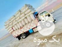 فروش و توزیع عمده علوفه و خوراک دام در ماسال در گروه خوراک دام و طیور - پرواری شیری علوفه یونجه در یکمیوه -عکس1