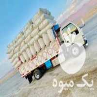 فروش و توزیع عمده علوفه و خوراک دام در ماسال در گروه خوراک دام و طیور - پرواری شیری علوفه یونجه در یکمیوه