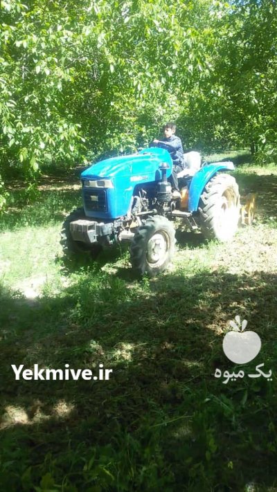 تراکتور داروانا‌ با‌غی‌ مدل‌ هشتاد‌ هشت در نهاوند در گروه خرید فروش ابزار ها و تجهیزات کشاورزی - دستی برقی ماشینی بیل کلنگ در یکمیوه -عکس1
