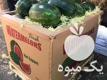 فروش باکس پالت صادراتی هندوانه در شیراز در گروه خرید فروش عمده هندوانه - صادراتی گرد بیضی زرد قرمز در یکمیوه -عکس1