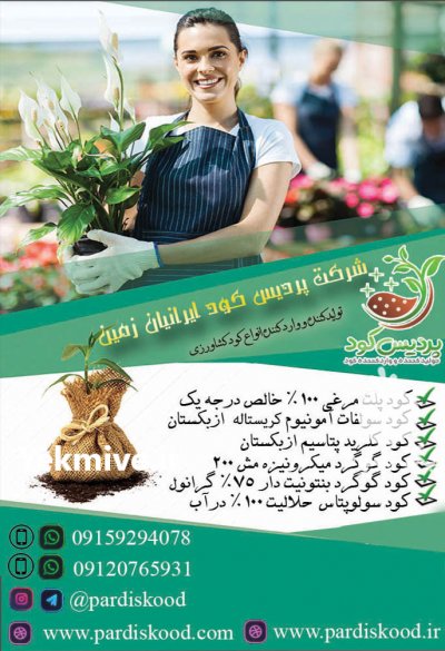 بهترین مارک npkسه بیست قیمت ارزان در زنجان در گروه خرید فروش کود و مواد شیمیایی - اوره پتاس مرغی کمپوست آهن در یکمیوه -عکس3