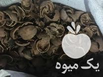 فروش پوست گردو و بادام در منظریه در گروه بادام - درختی کوهی زمینی فروش عمده در یکمیوه -عکس1