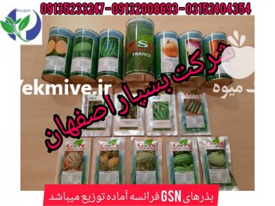 انواع بذر سبزی و صیفیجات در ملایر در گروه خرید فروش سایر محصولات تجهیزات کشاورزی در یکمیوه