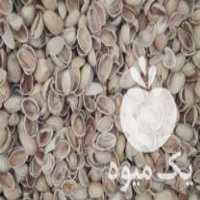 آگهی مشابه خرید پوست پسته در رفسنجان در گروه پسته - کوهی شامی خام اکبری تازه کله قوچی در یکمیوه