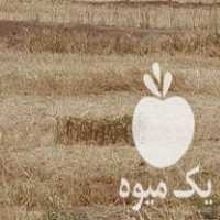 فروش جو و پرس جو خشک در سبزوار در گروه خرید فروش عمده گندم و جو - بلغور شیرازی فروش عمده محصول کشاورزی در یکمیوه