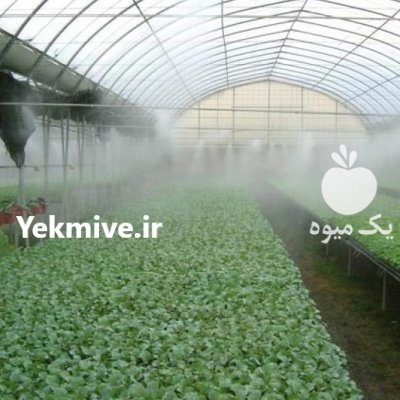 سایبان گلخانه در بابل  در گروه خرید فروش تجهیزات گلخانه - صنعتی خانگی هوشمند دست دوم در یکمیوه -عکس1