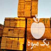 فروش بازرگانی چوب روسی جهاندیده در لاهیجان در گروه خرید فروش عمده چوب- زغال چوب گردو تبریزی خام در یکمیوه
